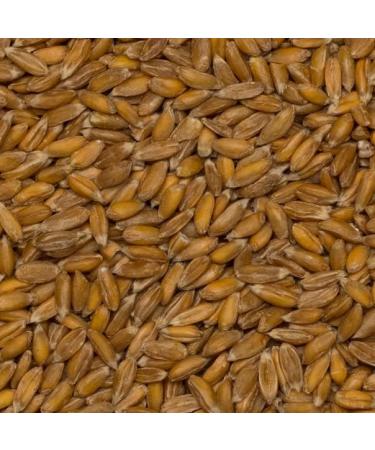 Organic Spelt Grain 3kg | GMO Free | Vegan | High Fibre - Wholefood Earth - Buy Online on GoSupps.com