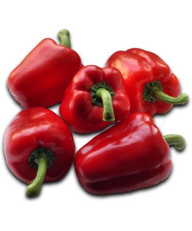50 seeds - PEPPER "Sweet of Spain" - Capsicum annuum - Buy Online on GoSupps.com
