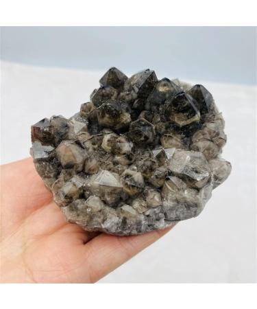 Room Decoration Natural Raw Crystal Stone Black Backbone Cluster for Fengshui (Size : 50-100g) - Buy Online on GoSupps.com