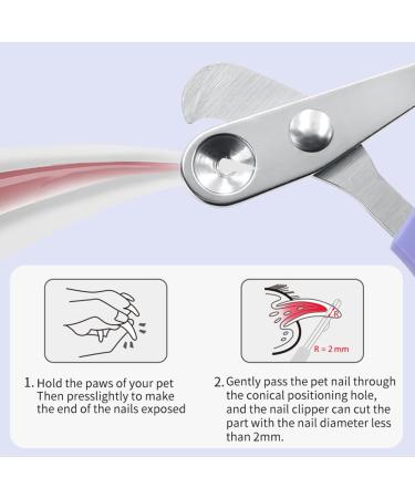 Buy Ingjia Claw Scissors for Cats | Durable Stainless Steel Nail Cutter for Kittens Rabbits & Small Animals - Ergonomic & Safe - Buy Online on GoSupps.com