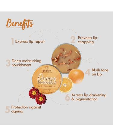 Buy Orange Marigold Lip Balm - Ayurvedic Natural Lip Care for Dark Lips Ghee Raw Honey Shea & Vitamin E - 10gm - Buy Online on GoSupps.com