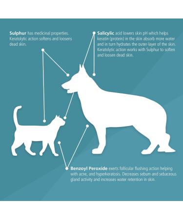 Pet MD Medicated Shampoo for Dogs  Cats & Horses - Chlorhexidine & Ketoconazole  16 Oz - Soap & Paraben Free - Buy Online on GoSupps.com