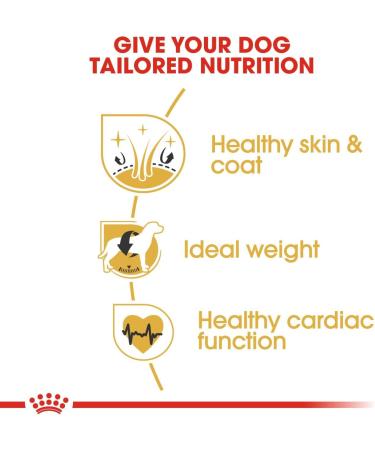 Royal Canin Dog Food Cocker Spaniel Dry Mix 3kg - Buy Online on GoSupps.com