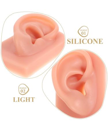 Beaupretty 3D Silicone Ear Model for Acupuncture & Massage Practice - Realistic Human Ear Display - Buy Online on GoSupps.com