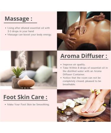 SVATV Argan Essential Oil | Therapeutic Quality Aromatherapy & Fragrance Oil for Diffusers Yoga Massage & Body Care (10 ml) - International Shipping Available - Buy Online on GoSupps.com