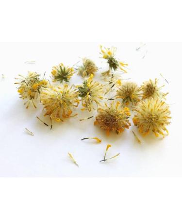  P&E Organic Arnica Flowers 100g Herbal Tea Infusion (Mountains of Mexico) - Herbs and Spices - Buy Online on GoSupps.com