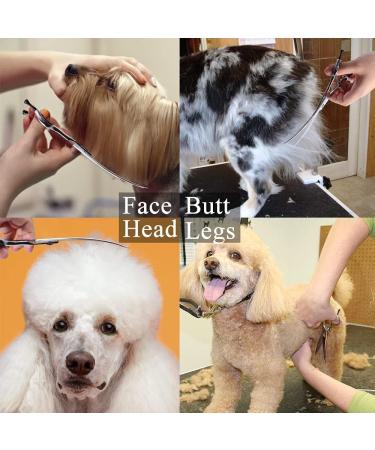 Buy Purple Dragon 7-Inch Japanstahl-440c Professional Dog & Cat Scissors - Right-Handed Bending Scissors for Groomers & Beginners - Buy Online on GoSupps.com