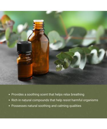 Eucalyptus Essential Oil from Bio-Young Aromas in China - Eucalyptus Essential Oils for Skin and for Diffuser - Aceite de Eucalipto (15ml) Eucalyptus 0.5 Fl Oz (Pack of 1) - Buy Online on GoSupps.com