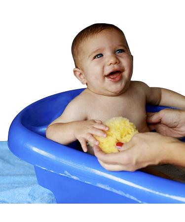 Baby Buddy Natural Wool Sea Sponge - Hypoallergenic Bath Sponge for Tender Skin - 4.5in, Brown - 1 Count - Buy Online on GoSupps.com