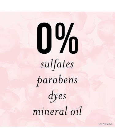 Pantene Miracle Moisture Boost Rose Water Shampoo and Conditioner 237 mL (Pack of 2) Unscented 261 mL (Pack of 2) - Buy Online on GoSupps.com