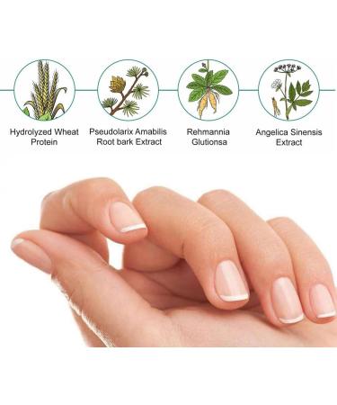 Nail Repair Cream Nail Fungal Treatment Nail Fungal Treatment Fungal Nail Cure Nail Fungus Treatment For Toenail Fungal Nail Treatment Nail Repair - Buy Online on GoSupps.com