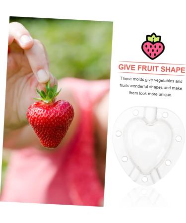 SUPVOX Fruit Growth Molds 5pcs Fruit Shaping Mold Gardening Supplies Vegetable Plastic Vegetable Mold - Buy Online on GoSupps.com