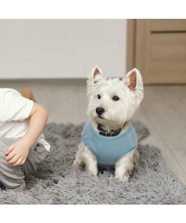 2-Pack Dog Clothing | Soft Cotton Sweaters & Shirts for Small Dogs & Cats | Air-Permeable Chihuahua T-Shirts - XL Gray & Blue - Buy Online on GoSupps.com