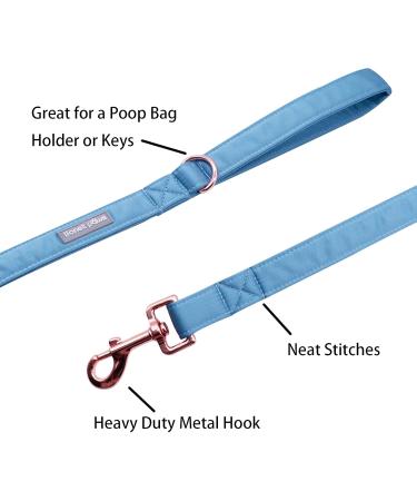 Lionet Paws Dog Leash - Silk Leash for Small Medium & Large Dogs | Matching Collars for Boys & Girls | Blue (Pack of 1) - International Shipping Available - Buy Online on GoSupps.com