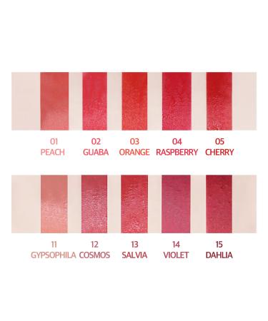 COSNORI Glow Touch Lipstick - Juicy & Glow Hydrating Shine-Finish Lipstick with Zero Flake & Smooth Coverage (01 Peach) | International Shipping - Buy Online on GoSupps.com