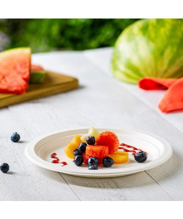 125-Pack 9 Inch Eco-Friendly Compostable Paper Plates - Heavy-Duty Sugarcane, Disposable, White - 125 Count - Buy Online on GoSupps.com