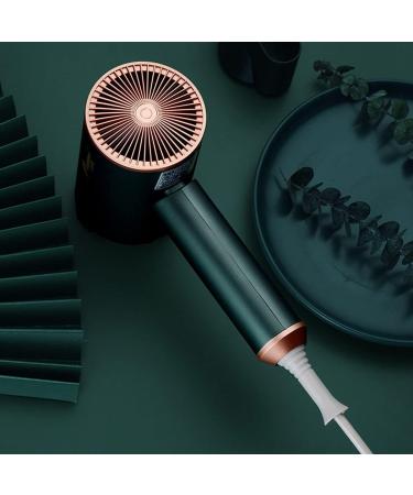 Hair Dryer Powerful Lady Hair Dryer Lightweight Professional Ion Hair Dryer Anti-Frizz Compact 500W Quick Dry - Buy Online on GoSupps.com