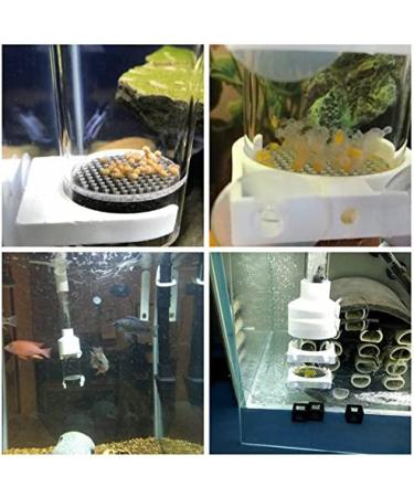 Senzeal 50mm Aquarium Cichlids Fish Egg Incubator Tumbler - Hatchery for Mouth-Brooding Fish - Buy Online on GoSupps.com