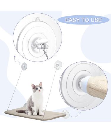 8 Pcs Cat Window Hammock Replacement Suction Cups - Pet Supplies | Vivid Style - Buy Online on GoSupps.com