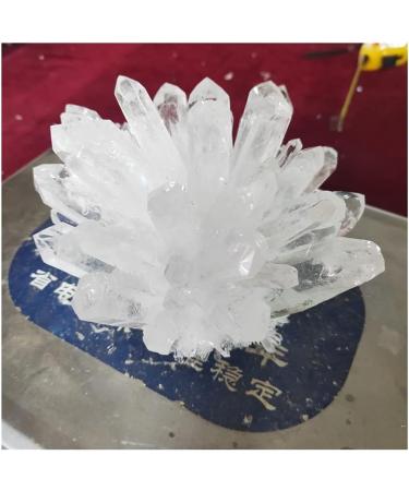 Very Beautiful Natural Raw Quartz White Clear Stones Point Home Decoration Raw Crystals (Size : 500-600g) Home Goods (Size : 500-600g) - Buy Online on GoSupps.com