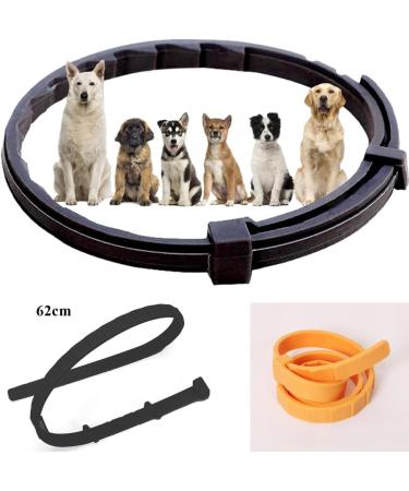 Syang Tick Collar for Dogs & Cats - 2-Pack Fluorescent Parasite Prevention Collar 8-Month Protection Universal Fit (Yellow & Black) - Buy Online on GoSupps.com