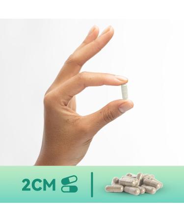 Babivek Iodine Supplement from Sea Vegetable Complex Dietary Supplement for Metabolism Thyroid Function Energy Support & Immune Health 60 Vegan Capsules - Buy Online on GoSupps.com