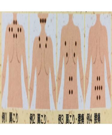 Roihi-tsuboko Pain Relief Patches 468 Patches | Fast-Acting Pain Relief - Buy Online on GoSupps.com