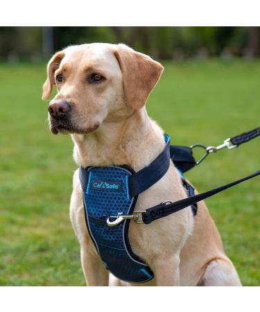 Carsafe Crash-Tested Dog Safety Dishes for Large Dogs | Secure & Comfortable | Up to 32 kg (70 lbs) - Blue - Buy Online on GoSupps.com