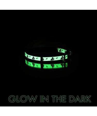 Pawtitas Glow in The Dark Cat Collar with Safety Buckle and Bell Teal - Buy Online on GoSupps.com