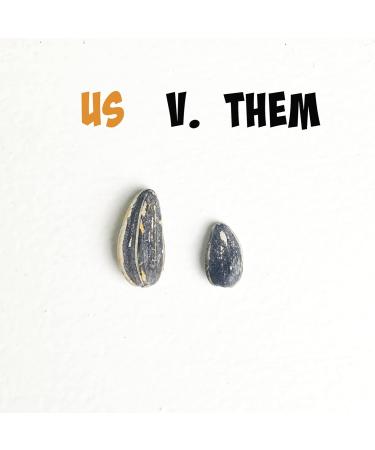 SMACKIN' Sunflower Seeds | Roasted Jumbo Sunflower Seeds | 4 Ounce Flavored Sunflower Seeds | Small-Batch American Made Sunflower Seeds | 12 Bags of Sunflower Seeds | Keto Snacks (Garlic Parmesan) - Buy Online on GoSupps.com