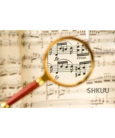 10X 80mm Lens Reading Loupe Magnifiers Metal Frame & Solid Wooden Handle Ideal for Newspaper Map Puzzle Jewellery Better Life - Buy Online on GoSupps.com