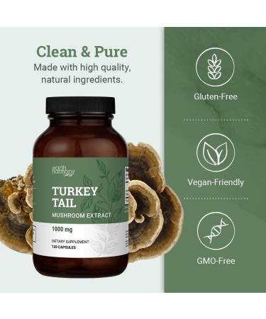 Earth Harmony Organic Turkey Tail Mushroom Capsules (1000mg Pure Extract) - Superfood Mushroom Supplement Helps Support Brain Health - Premium Powder Extract - 120 Capsules (2-Month Supply) - Buy Online on GoSupps.com