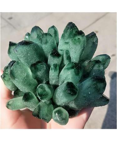 Stone Crafts 1pc Natural Crystals Ghost Quartz Cluster Freeform Reiki Stones Room Home Office Aquarium Decoration Accessories Gemstone Home Goods (Size : 700-750g) - Buy Online on GoSupps.com