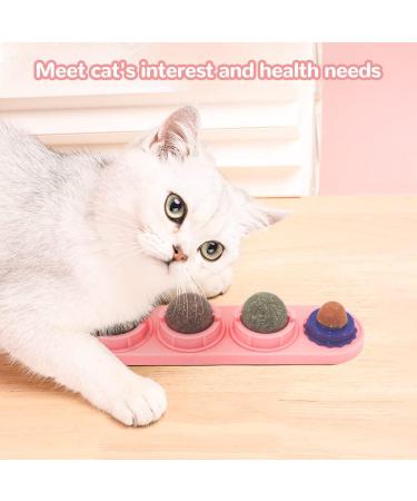 Aucenix Catnip Ball 4 Pack - Natural Dental Toys for Cats & Kittens | Teeth Cleaning & Licking Fun (Pink) - Buy Online on GoSupps.com