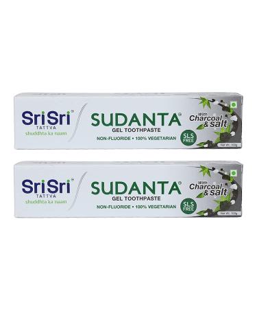 Sri Sri Tattva Sudanta Herbal Gel Toothpaste - All Natural SLS Free Fluoride Free Tooth Paste with Charcoal Salt & More - 100g (Pack of 2) for Kids and Adults
