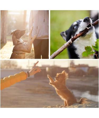 Gheart Dog Whistle 2-Pack | Professional High-Frequency Ultrasound Training Pipe | Silent Dog Education Tool - Black - Buy Online on GoSupps.com