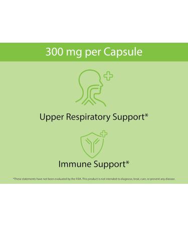 KOYAH - Organic Stinging Nettle Leaf Capsules Freeze-Dried 300 mg (2 400 mg Fresh) Upper Respiratory Support & Immune Support - 60 Capsules - Buy Online on GoSupps.com