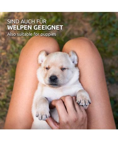 Aniforte Aloe Vera Puppy Shampoo 200ml - Mild Perfume-Free Dog Shampoo for Sensitive Young Dogs & Shiny Easy-to-Combing Fur - International Shipping Available - Buy Online on GoSupps.com