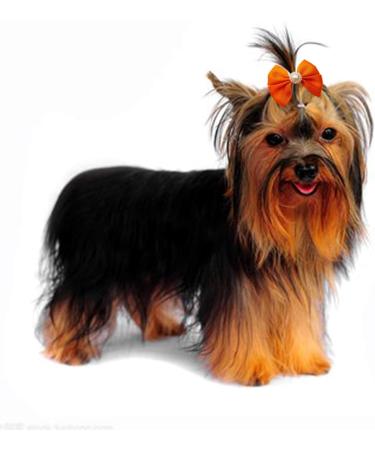 Pet Show 10 Pack Small Dog Hair Clips Bow French Barrette Bows Accessories for Yorkie Teddy Grooming - Buy Online on GoSupps.com