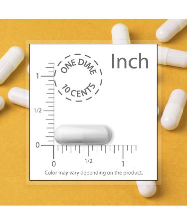 SuperSmart - Boswellia 5-LOX - Extrait de Boswellia Serrata Standardis 30% d AKBA - Contribue Inhiber l'Inflammation | Sans OGM - 90 Capsules V g tariennes - Buy Online on GoSupps.com
