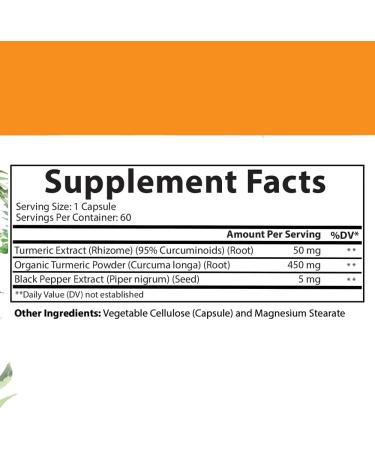 Angry Supplements Vegan Apple Cider Vinegar + Beet Root 60ct & Vegetarian Turmeric Curcumin 60ct- Plant Based Veggie Capsules for Men + Women (2pk-120ct) 120 Count (Pack of 1) - Buy Online on GoSupps.com