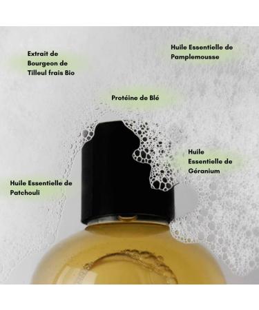 SERGE D'ESTEL PARIS - Colored Hair Care 500ml Shampoo and Mask for Colored Hair Nourishes Moisturizes Hair Protects & Prolongs Plant Coloring Natural Care 100% Vegan Made in France - Buy Online on GoSupps.com