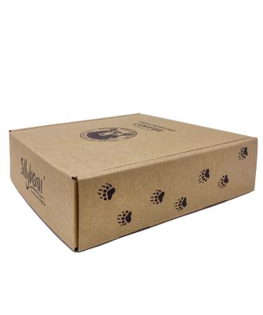 Sillybean Papa Bear Moma Bear Ground Coffee Sampler Gift Box | 8 Bear-Themed Flavors | Fresh Roasted Coffees for Coffee Lovers | Fun and Funny Labels - Buy Online on GoSupps.com