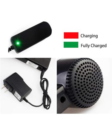 Wireless Hair Dryer Art Painting Cordless Hair Dryer Portable Travel Hair Dryer Suitable for Drying Paintings Babies  - Buy Online on GoSupps.com