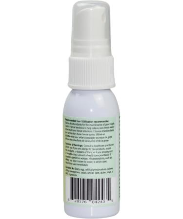 Bee Propolis Throat Spray Alcohol Free 30ml Soothing Immune Support From Prairies saskatchewan. pack of 1 - Buy Online on GoSupps.com