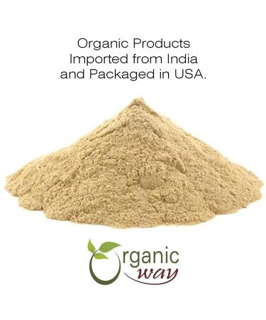 Organic Shatavari Powder - USDA & Kosher Certified | Vegan Non-GMO Gluten-Free | 100% Pure Asparagus Racemosus | Heavy Metal Tested | Resealable 1lb Bag from India - Buy Online on GoSupps.com