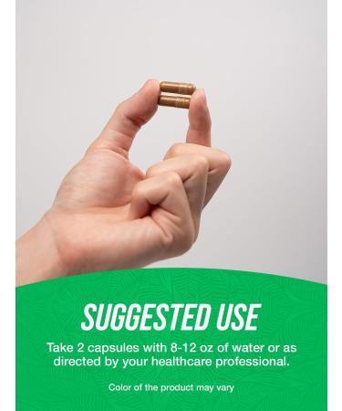 BulkSupplements.com Grapefruit Seed Capsules - Herbal Supplements Grapefruit Seed Supplements - Vegan 2 Capsules per Serving (500mg) 360 Count (Pack of 1) - Buy Online on GoSupps.com