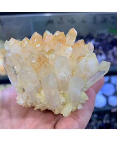 Natural Crystal Rough Crystal Cluster Natural Rare Yellow Quartz Crystal Cluster Specimen (Size : 150-200g) - Buy Online on GoSupps.com