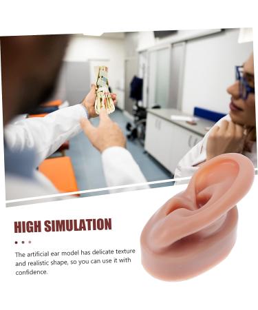 FOMIYES Silicone Human Ear Model for Piercing Teaching Display - Coffee 6.5x3.5cm - Buy Online on GoSupps.com