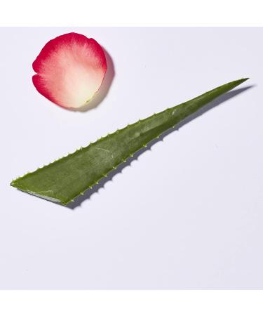 Andalou Naturals 1000 Roses Soothing Body Lotion 8 Fl Oz - Pack of 1 - Buy Online on GoSupps.com